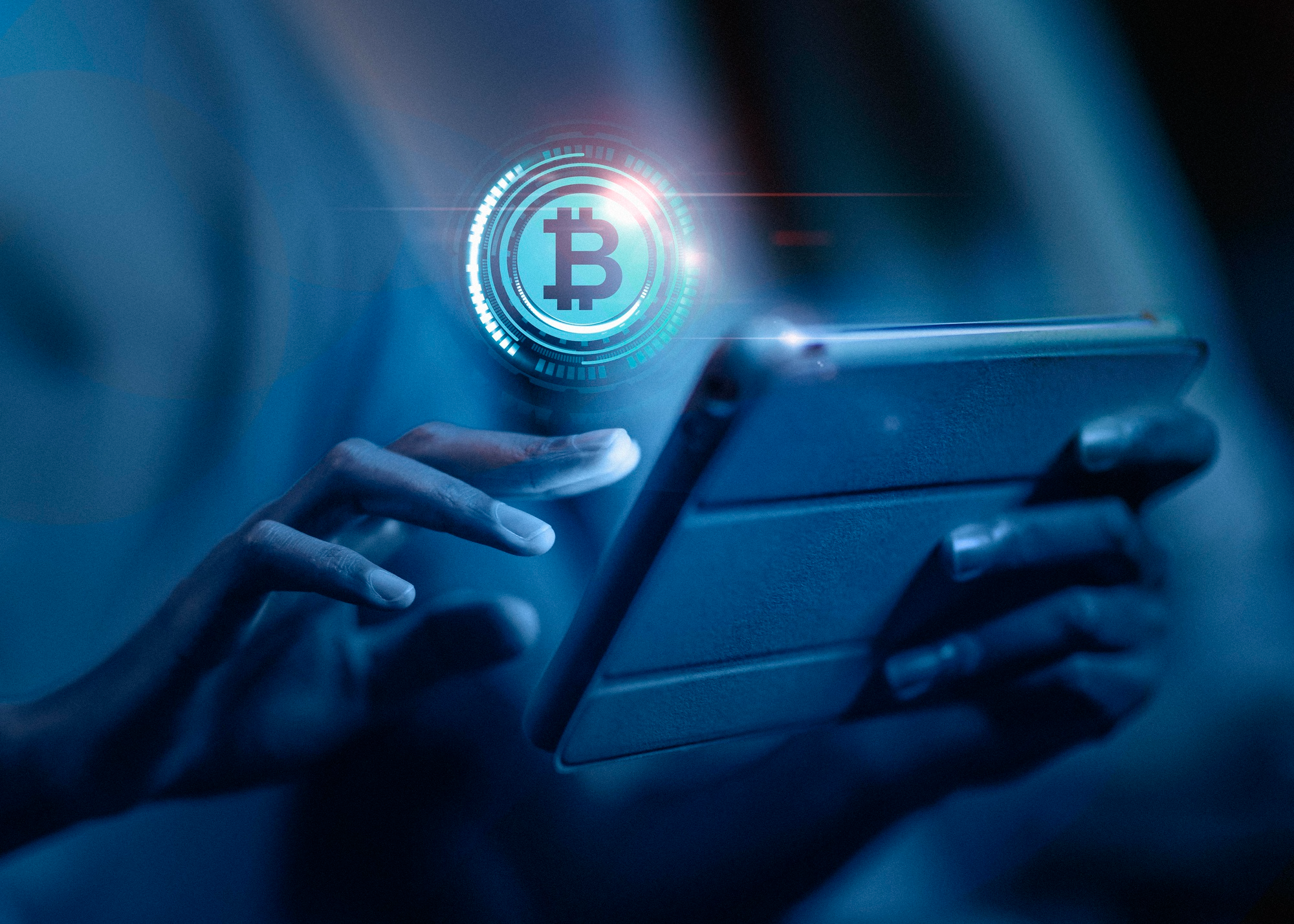 <p>Distinctive Features of Fintrac Regulations</p>

